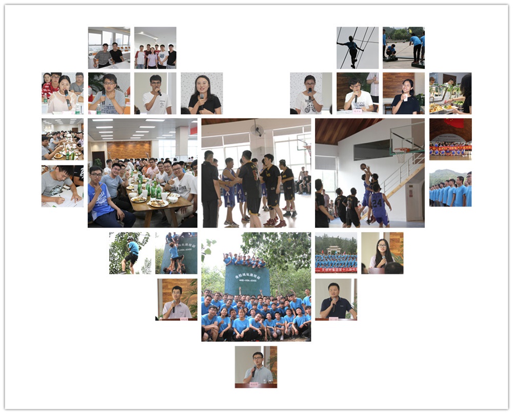 008PG国际(中国区)-官方网站